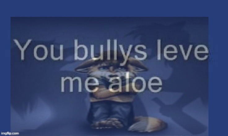 you bullies leave me alone | image tagged in you bullies leave me alone | made w/ Imgflip meme maker