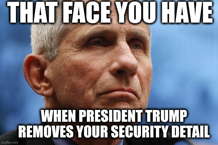 NEWS: President Trump announces Dr. Anthony Fauci's federal security detail has been cancelled | THAT FACE YOU HAVE; WHEN PRESIDENT TRUMP REMOVES YOUR SECURITY DETAIL | image tagged in donald trump,yes,covid-19,lol,trends | made w/ Imgflip meme maker