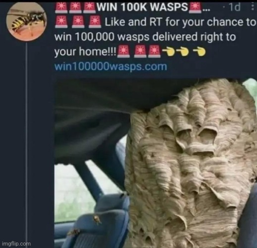 wsp | made w/ Imgflip meme maker