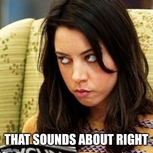 Aubrey Plaza | THAT SOUNDS ABOUT RIGHT | image tagged in aubrey plaza | made w/ Imgflip meme maker