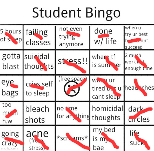 lol | image tagged in student bingo | made w/ Imgflip meme maker