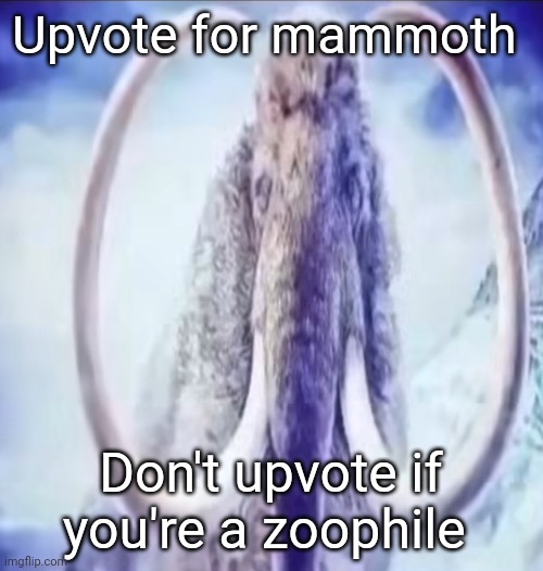 Mammoth | Upvote for mammoth; Don't upvote if you're a zoophile | image tagged in mammoth,memes | made w/ Imgflip meme maker