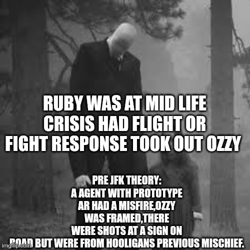 Jfk theory pre drop hype | PRE JFK THEORY: A AGENT WITH PROTOTYPE AR HAD A MISFIRE,OZZY WAS FRAMED,THERE WERE SHOTS AT A SIGN ON ROAD BUT WERE FROM HOOLIGANS PREVIOUS MISCHIEF. RUBY WAS AT MID LIFE CRISIS HAD FLIGHT OR FIGHT RESPONSE TOOK OUT OZZY | image tagged in charts,hype,history,freedom | made w/ Imgflip meme maker