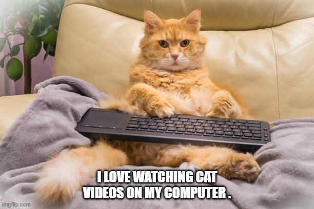 memes by Brad - Even cats love to watch cat video on the computer | I LOVE WATCHING CAT VIDEOS ON MY COMPUTER . | image tagged in cats,funny,kitten,computer,videos,humor | made w/ Imgflip meme maker