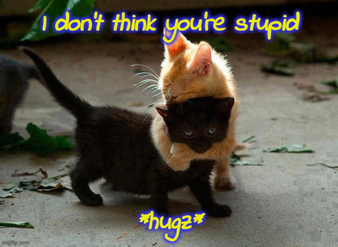 kitten hug | I don't think you're stupid *hugz* | image tagged in kitten hug | made w/ Imgflip meme maker