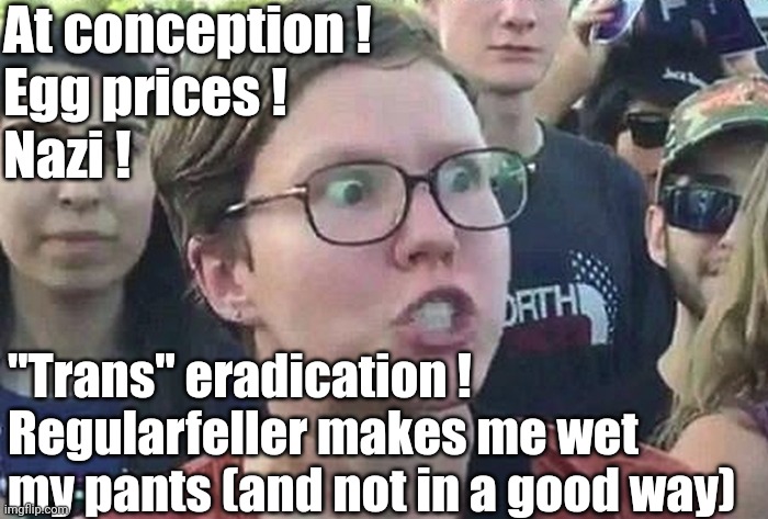 Triggered Liberal | At conception !
Egg prices !
Nazi ! "Trans" eradication !  
Regularfeller makes me wet my pants (and not in a good way) | image tagged in triggered liberal | made w/ Imgflip meme maker