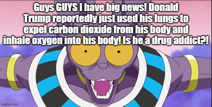 beerus | Guys GUYS I have big news! Donald Trump reportedly just used his lungs to expel carbon dioxide from his body and inhale oxygen into his body! Is he a drug addict?! | image tagged in beerus | made w/ Imgflip meme maker