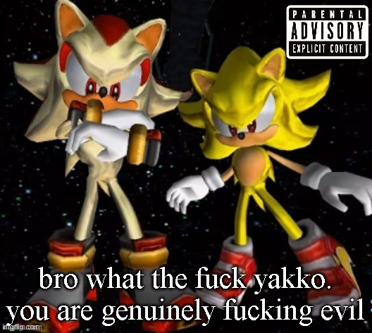 sonic n shadow | bro what the fuck yakko.
you are genuinely fucking evil | image tagged in sonic n shadow | made w/ Imgflip meme maker