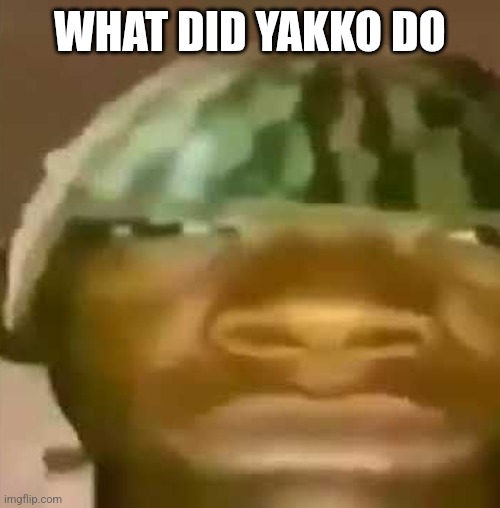 . | WHAT DID YAKKO DO | image tagged in shitpost | made w/ Imgflip meme maker