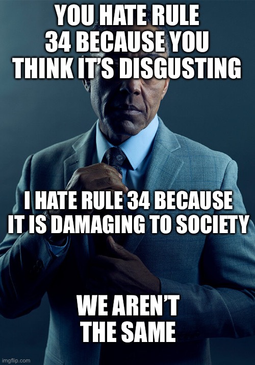 2 types of rule 34 haters | YOU HATE RULE 34 BECAUSE YOU THINK IT’S DISGUSTING; I HATE RULE 34 BECAUSE IT IS DAMAGING TO SOCIETY; WE AREN’T THE SAME | image tagged in gus fring we are not the same,rule 34 | made w/ Imgflip meme maker