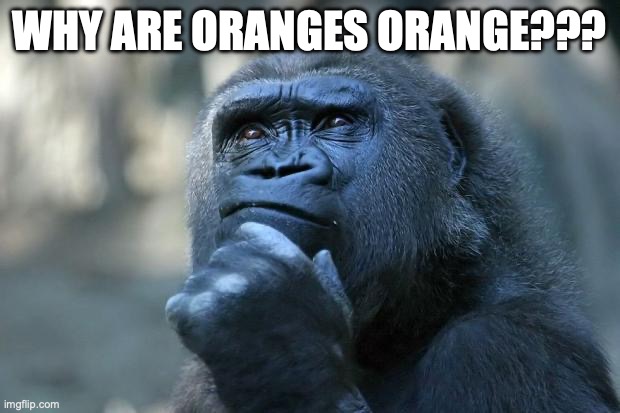 Deep thoughts, very deep indeed | WHY ARE ORANGES ORANGE??? | image tagged in deep thoughts | made w/ Imgflip meme maker