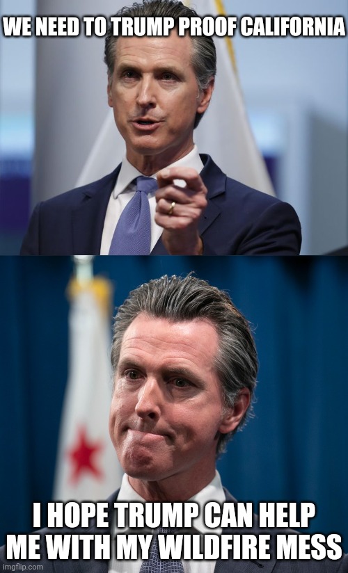 What a snake with hair gel | WE NEED TO TRUMP PROOF CALIFORNIA; I HOPE TRUMP CAN HELP ME WITH MY WILDFIRE MESS | image tagged in gavin newsom shelter in place order,gavin newsom,trump | made w/ Imgflip meme maker