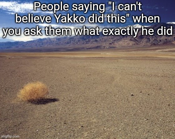 desert tumbleweed | People saying "I can't believe Yakko did this" when you ask them what exactly he did | image tagged in desert tumbleweed | made w/ Imgflip meme maker