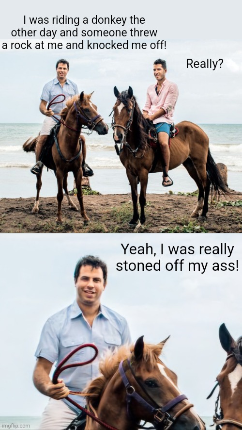 High Horse | I was riding a donkey the other day and someone threw a rock at me and knocked me off! Really? Yeah, I was really stoned off my ass! | image tagged in donkey,riding,stoned,guy,bad puns,eyeroll | made w/ Imgflip meme maker