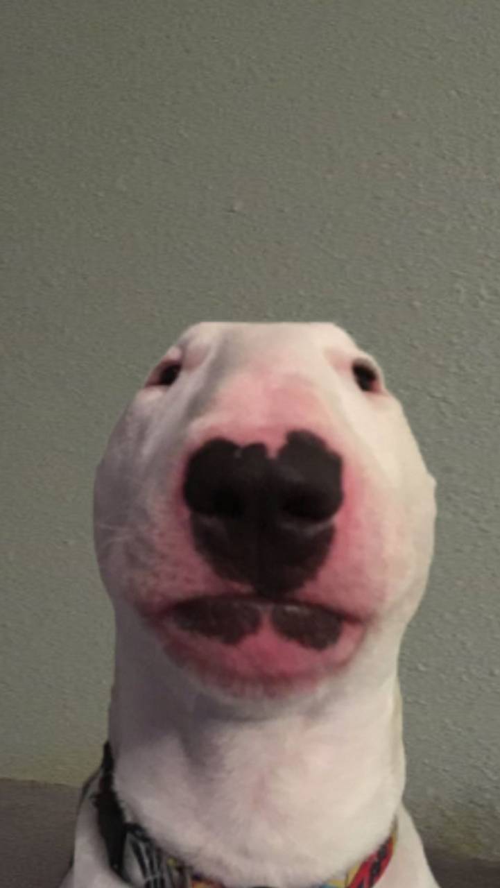 Walter Blank Meme Template
