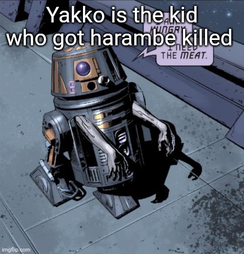 Alright last one, got boring | Yakko is the kid who got harambe killed | image tagged in droid | made w/ Imgflip meme maker