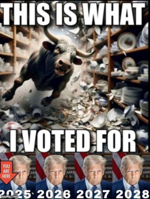 I voted for this!!! | image tagged in vote | made w/ Imgflip meme maker