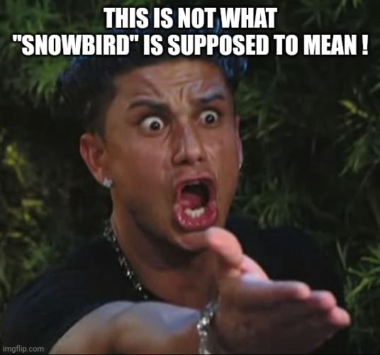 situation | THIS IS NOT WHAT "SNOWBIRD" IS SUPPOSED TO MEAN ! | image tagged in situation | made w/ Imgflip meme maker