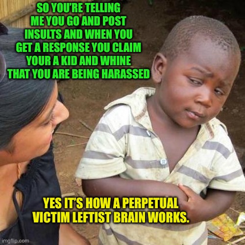 If you use insults like an adult you get adult insults back | SO YOU’RE TELLING ME YOU GO AND POST INSULTS AND WHEN YOU GET A RESPONSE YOU CLAIM YOUR A KID AND WHINE THAT YOU ARE BEING HARASSED; YES IT’S HOW A PERPETUAL
VICTIM LEFTIST BRAIN WORKS. | image tagged in whaaaaaaa im a kid,im being stalked,swim with the fishes or head to shore,someone said something i dont like | made w/ Imgflip meme maker