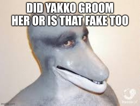 Dolphin Guy | DID YAKKO GROOM HER OR IS THAT FAKE TOO | image tagged in dolphin guy | made w/ Imgflip meme maker