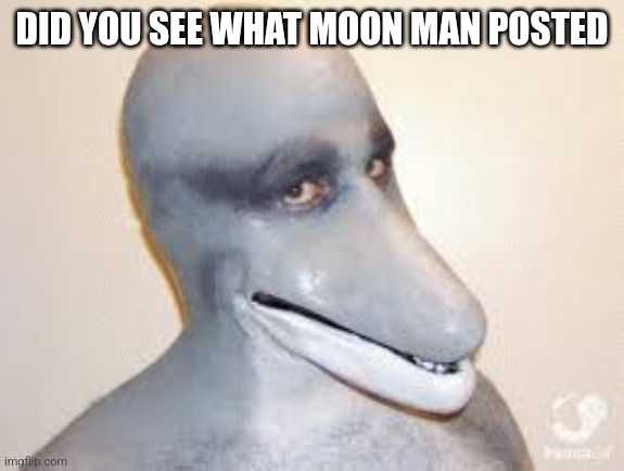 Dolphin Guy | DID YOU SEE WHAT MOON MAN POSTED | image tagged in dolphin guy | made w/ Imgflip meme maker