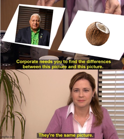 Hon. Josaia Voreqe Coconut Head Bainimarama | image tagged in memes,they're the same picture,tyranny,dictator,coconut,idiots | made w/ Imgflip meme maker