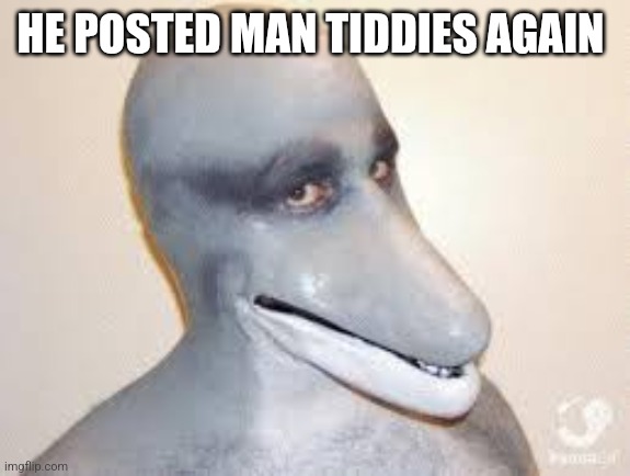 Dolphin Guy | HE POSTED MAN TIDDIES AGAIN | image tagged in dolphin guy | made w/ Imgflip meme maker