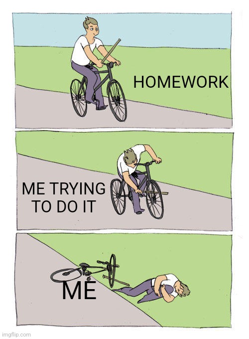 Me fr | HOMEWORK; ME TRYING TO DO IT; ME | image tagged in memes,bike fall | made w/ Imgflip meme maker