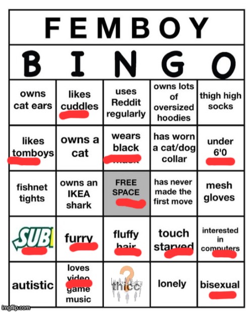 Femboy Bingo | image tagged in femboy bingo | made w/ Imgflip meme maker