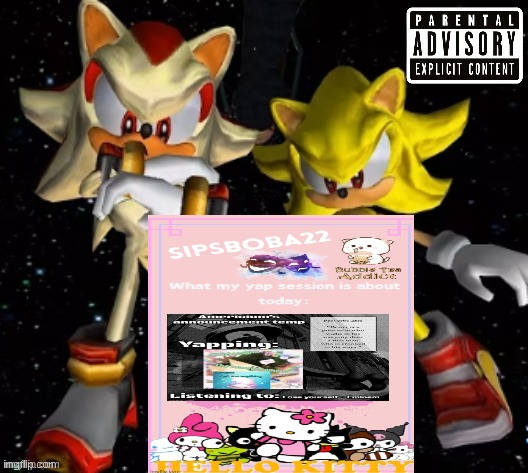 sonic n shadow | image tagged in sonic n shadow | made w/ Imgflip meme maker