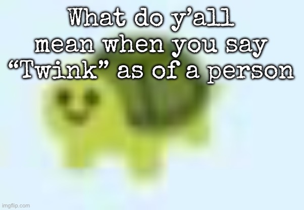 I genuinely don’t know | What do y’all mean when you say “Twink” as of a person | image tagged in low quality turtle,msmg | made w/ Imgflip meme maker