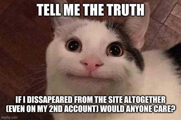 no title | TELL ME THE TRUTH; IF I DISSAPEARED FROM THE SITE ALTOGETHER (EVEN ON MY 2ND ACCOUNT) WOULD ANYONE CARE? | image tagged in polite cat | made w/ Imgflip meme maker