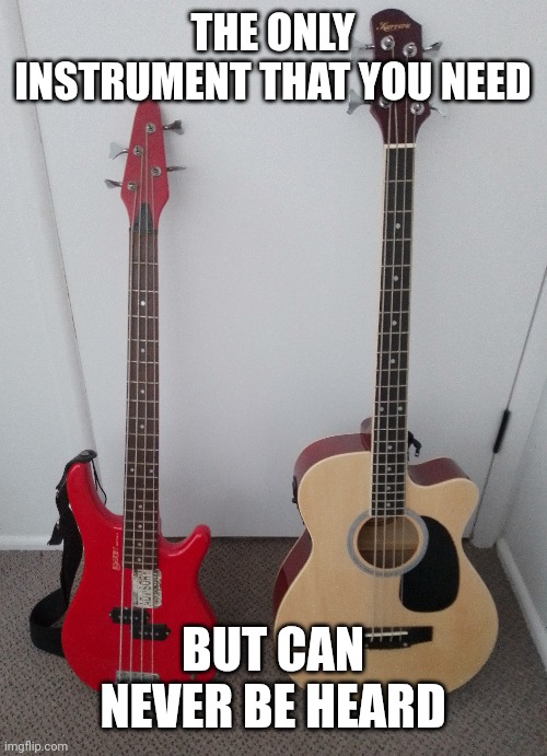 The struggle is real | THE ONLY INSTRUMENT THAT YOU NEED; BUT CAN NEVER BE HEARD | image tagged in bass | made w/ Imgflip meme maker