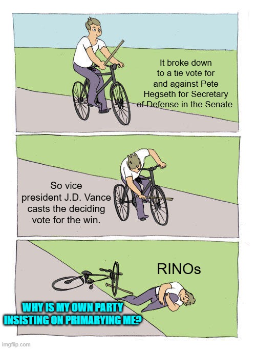 Because elections have consequences you irredeemable leftist-allied scum-bags. | It broke down to a tie vote for and against Pete Hegseth for Secretary of Defense in the Senate. So vice president J.D. Vance casts the deciding vote for the win. RINOs; WHY IS MY OWN PARTY INSISTING ON PRIMARYING ME? | image tagged in bike fall | made w/ Imgflip meme maker