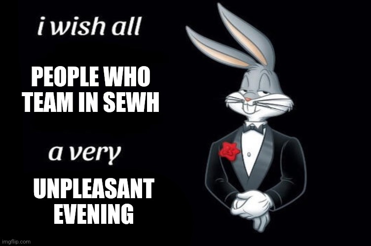 Bugs bunny I wish all empty template | PEOPLE WHO TEAM IN SEWH; UNPLEASANT EVENING | image tagged in bugs bunny i wish all empty template | made w/ Imgflip meme maker