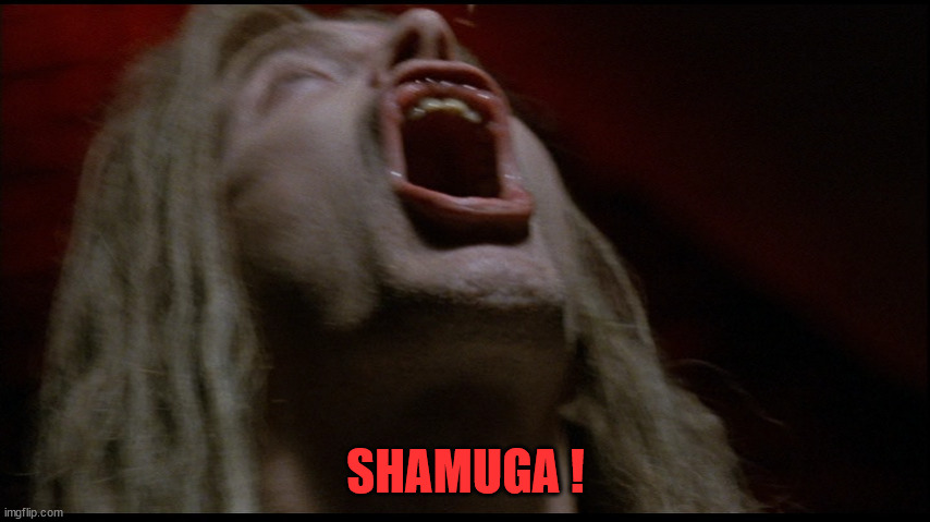 Shamuga | SHAMUGA ! | image tagged in the crow 349,shamuga | made w/ Imgflip meme maker