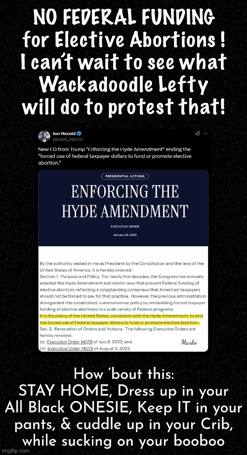 I can hear it now….  Waaa WaA WAa  WAAAAAAA | NO FEDERAL FUNDING
for Elective Abortions !
I can’t wait to see what
Wackadoodle Lefty
will do to protest that! Marko; How ‘bout this:
STAY HOME, Dress up in your
All Black ONESIE, Keep IT in your
pants, & cuddle up in your Crib,
while sucking on your booboo | image tagged in memes,we aint payin 4 u 2 kill your baby,take some responsibility 4 1ce in yer life,progressives leftists fjb voters kissmyass | made w/ Imgflip meme maker