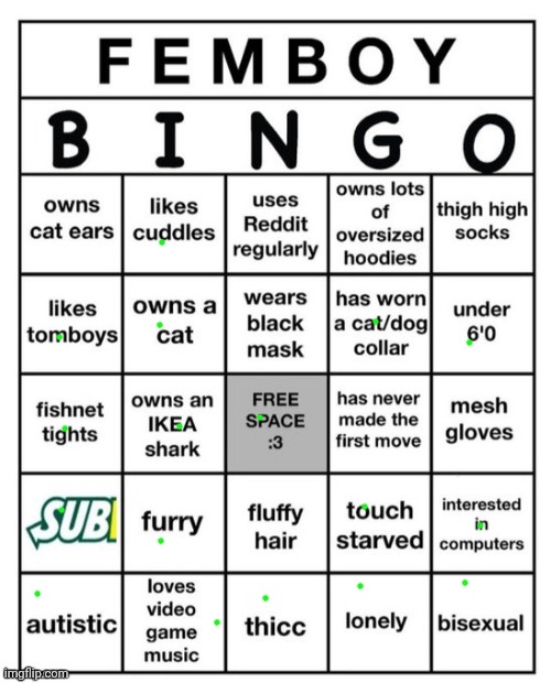 Femboy Bingo | image tagged in femboy bingo | made w/ Imgflip meme maker