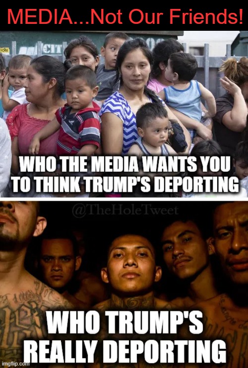 Deportation--Round 1 | MEDIA...Not Our Friends! | image tagged in biased media,lies,why import bad guys,we have enough of our own,illegal aliens,common sense | made w/ Imgflip meme maker