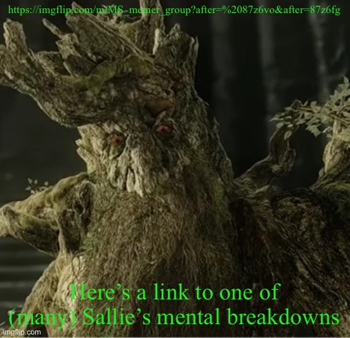 Hecate | https://imgflip.com/m/MS_memer_group?after=%2087z6vo&after=87z6fg; Here’s a link to one of (many) Sallie’s mental breakdowns | image tagged in hecate | made w/ Imgflip meme maker