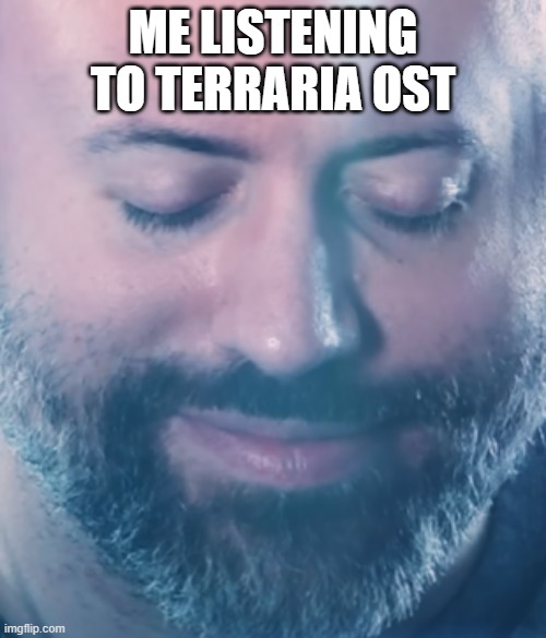 terraria music is so fire | ME LISTENING TO TERRARIA OST | image tagged in feel it wade,memes,terraria | made w/ Imgflip meme maker