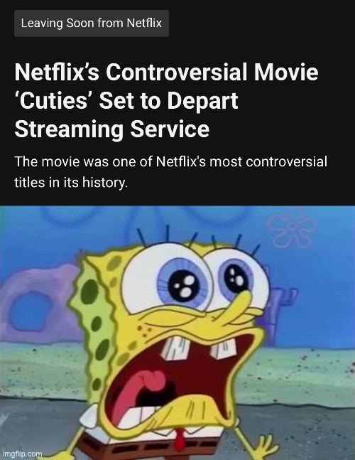 NOOOOOOOOOOO | image tagged in spongebob crying/screaming | made w/ Imgflip meme maker