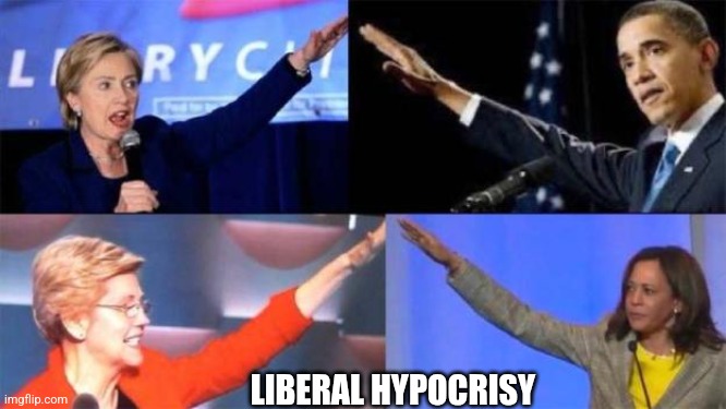 Demonazis | LIBERAL HYPOCRISY | image tagged in demonazis | made w/ Imgflip meme maker