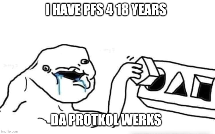 Stupid dumb drooling puzzle | I HAVE PFS 4 18 YEARS; DA PROTKOL WERKS | image tagged in stupid dumb drooling puzzle | made w/ Imgflip meme maker