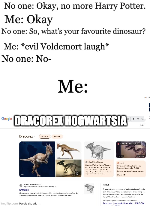 eheheheheheheee | No one: Okay, no more Harry Potter. Me: Okay; No one: So, what's your favourite dinosaur? Me: *evil Voldemort laugh*; No one: No-; Me:; DRACOREX HOGWARTSIA | made w/ Imgflip meme maker