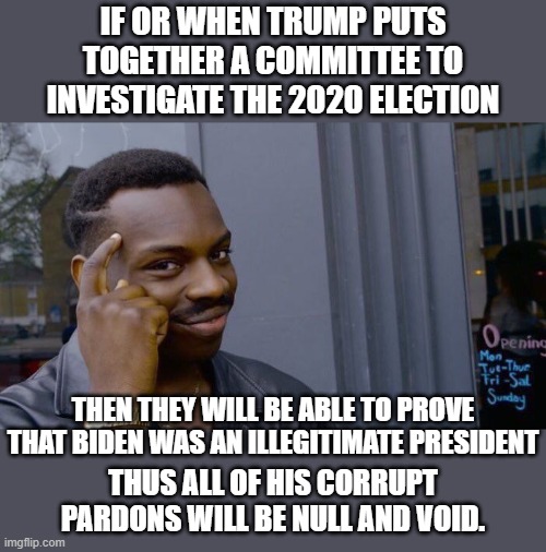 Well, its an idea anyway.  Hopefully Trump can make it happen.  It shouldn't be difficult. | IF OR WHEN TRUMP PUTS TOGETHER A COMMITTEE TO INVESTIGATE THE 2020 ELECTION; THEN THEY WILL BE ABLE TO PROVE THAT BIDEN WAS AN ILLEGITIMATE PRESIDENT; THUS ALL OF HIS CORRUPT PARDONS WILL BE NULL AND VOID. | image tagged in biden was illegitimate | made w/ Imgflip meme maker