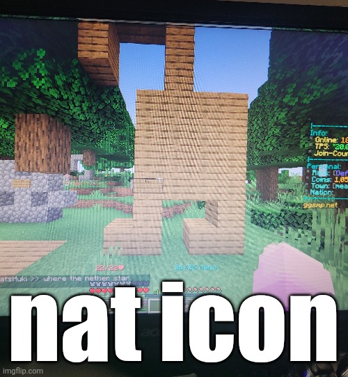 nat icon | made w/ Imgflip meme maker