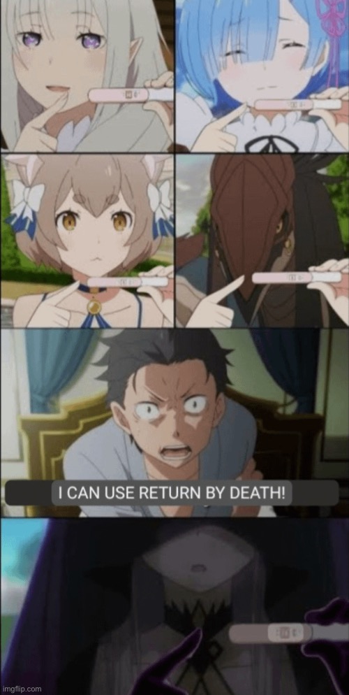 Hell no why did I find this meme | image tagged in re zero,subaru | made w/ Imgflip meme maker