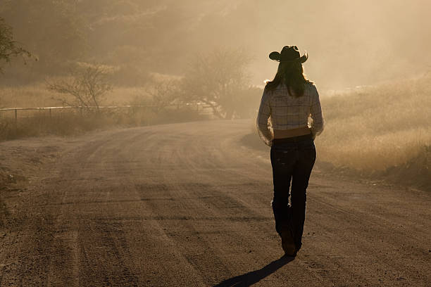 Dusty Road Blank Meme Template