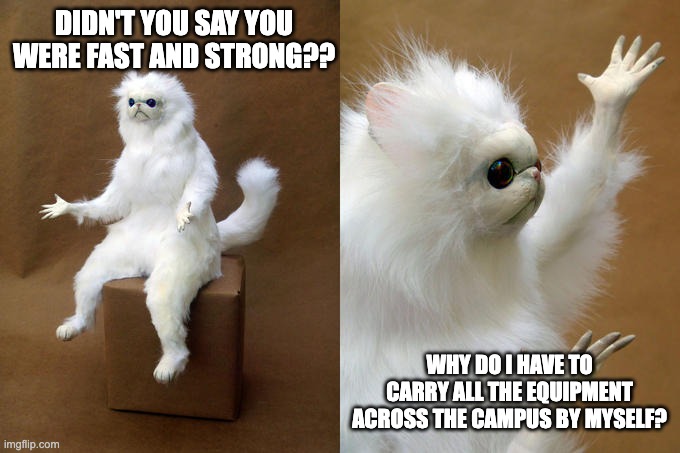 "Fast and Strong" huh | DIDN'T YOU SAY YOU WERE FAST AND STRONG?? WHY DO I HAVE TO CARRY ALL THE EQUIPMENT ACROSS THE CAMPUS BY MYSELF? | image tagged in memes,persian cat room guardian | made w/ Imgflip meme maker